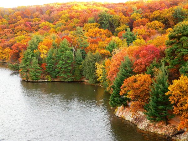 Природа Хабаровского края осень