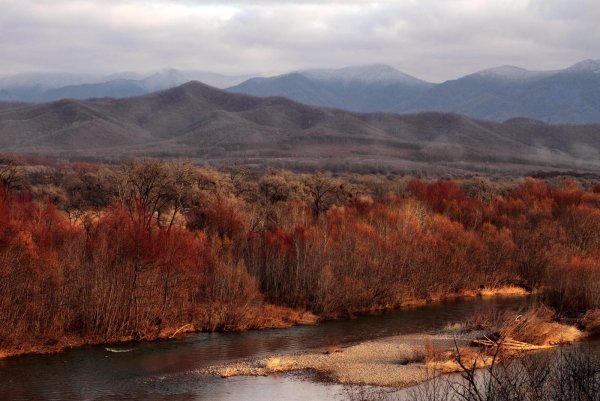 Река сопки Приморье