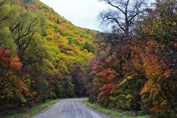Осенние сопки Приморье