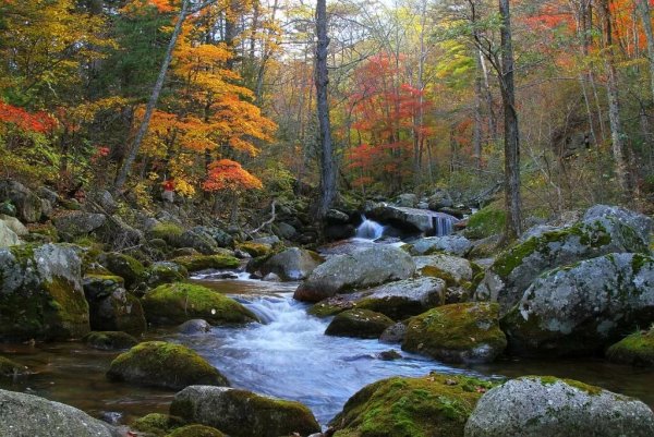 Приморский край осень