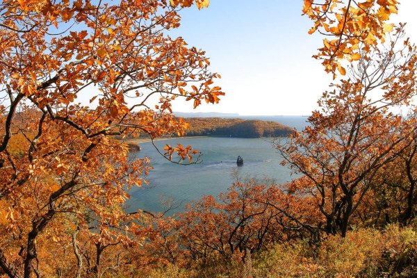 Осенние сопки Приморье