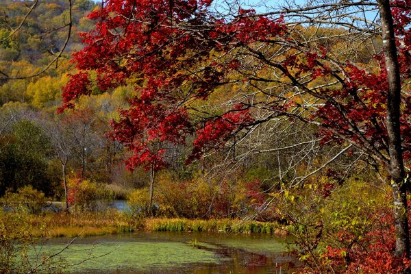 Осенние сопки Приморье