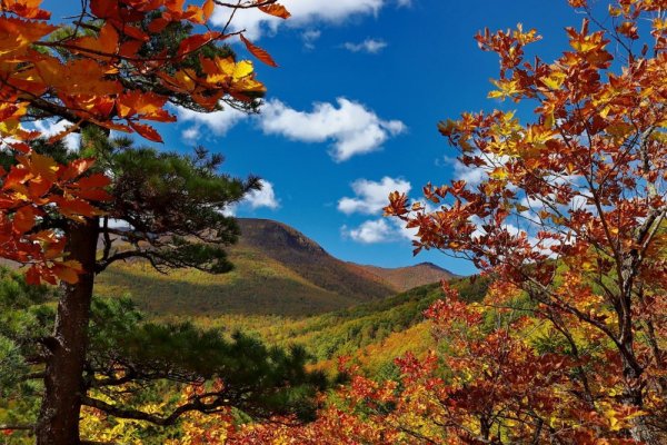 Осенние сопки Приморье