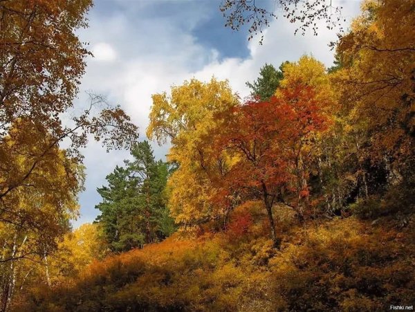 Золотая осень в Приморье