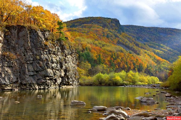 Приморский край Уссурийская Тайга
