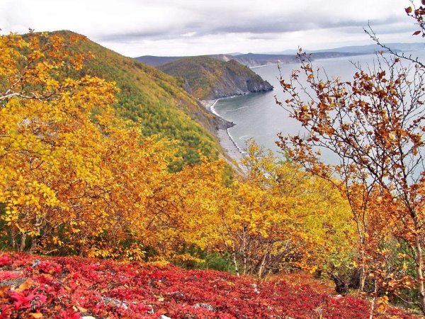 Лазовский район Приморский край