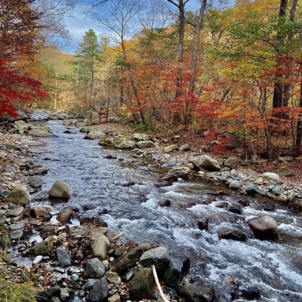 Осень море Приморский край
