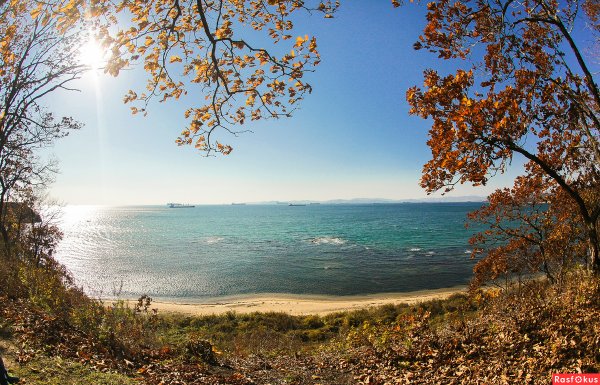 Сопки Приморского края осень