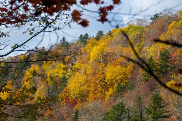 Красивые осенние пейзажи Приморье
