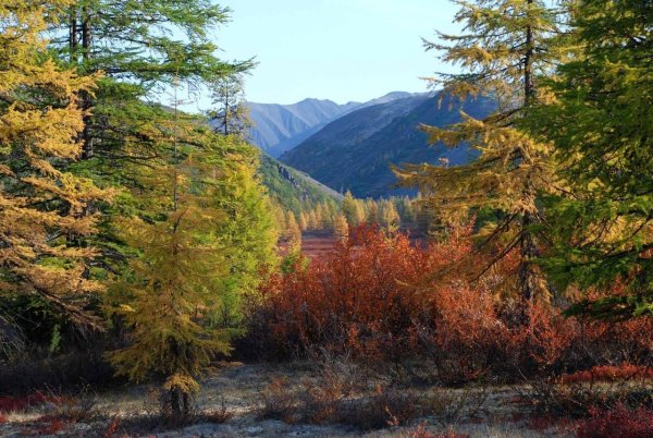 Осеннее море Геленджик