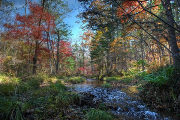 Природа Комсомольского района Хабаровского края
