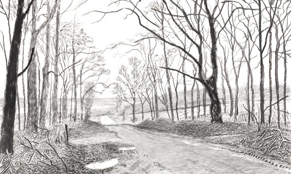 Парковый пейзаж в графике