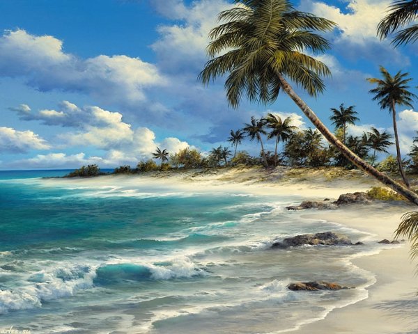 Художник Judy dy ans