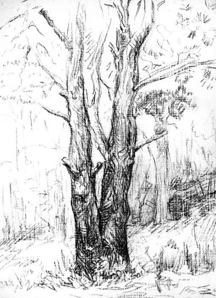 Пейзаж рисунок карандашом