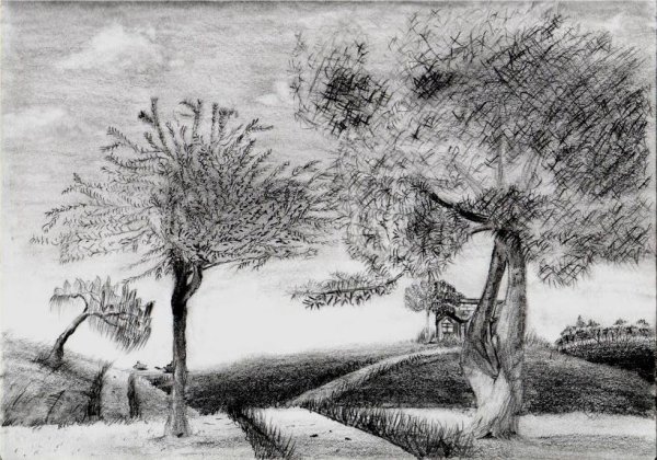 Зимний пейзаж карандашом