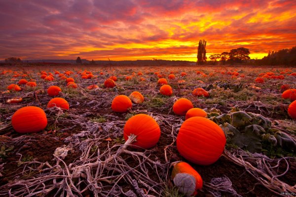 Необычные пейзажи