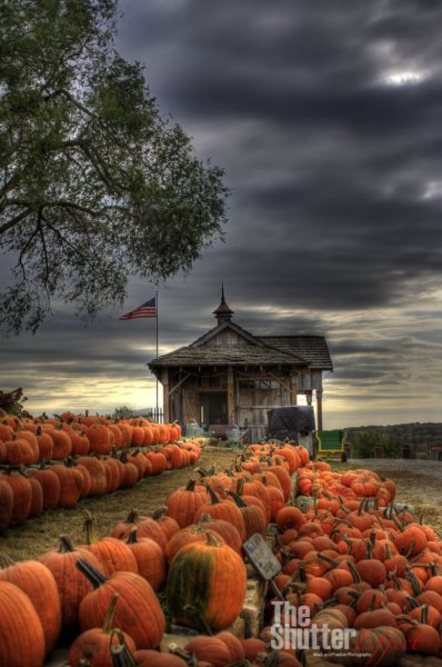 Осень тыквы Хэллоуин