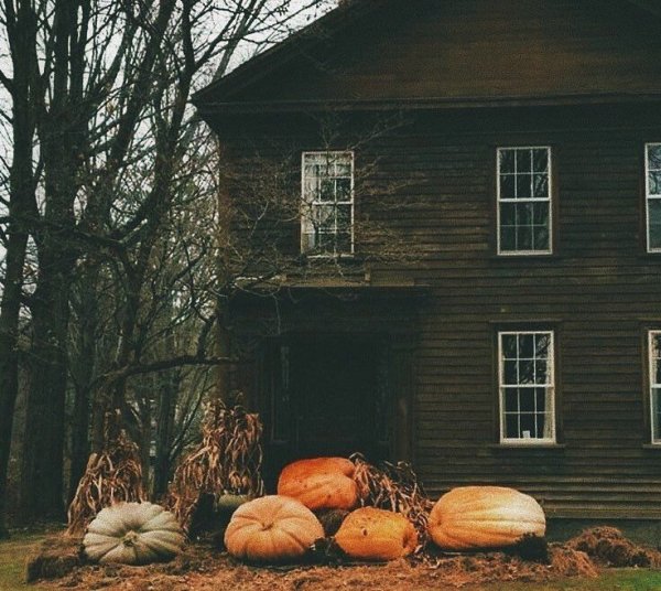 Хэллоуин пейзаж