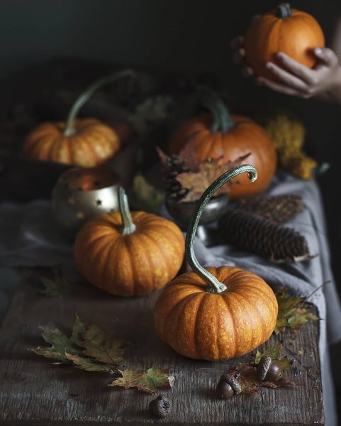 Тыковки на Хэллоуин Эстетика