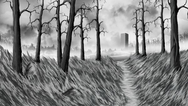 Черно белый пейзаж