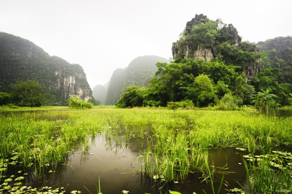 Равнина Бакбо Вьетнама