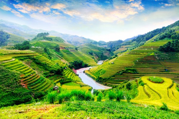 Пейзаж Вьетнам Сайгон