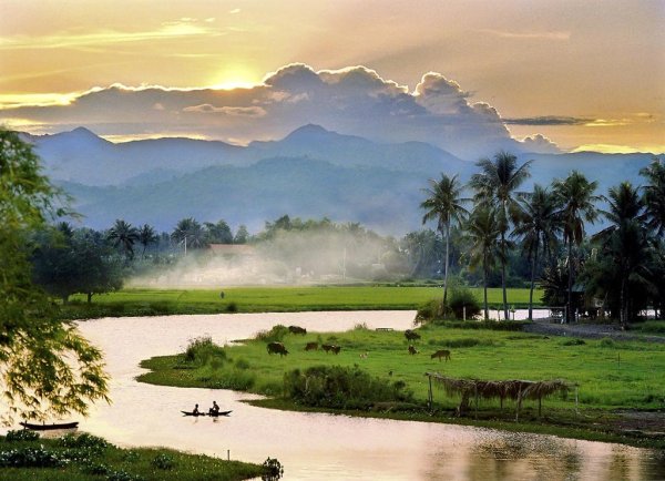 Нячанг природа