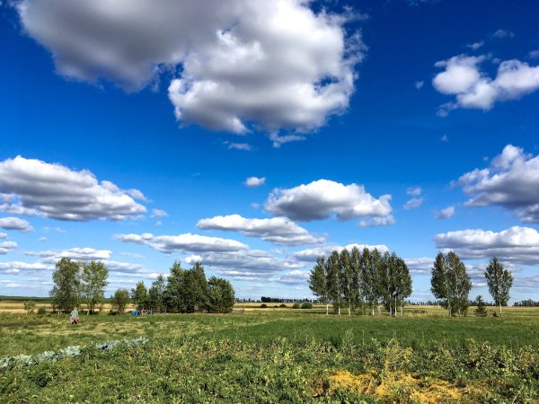 Чувашская Республика природа