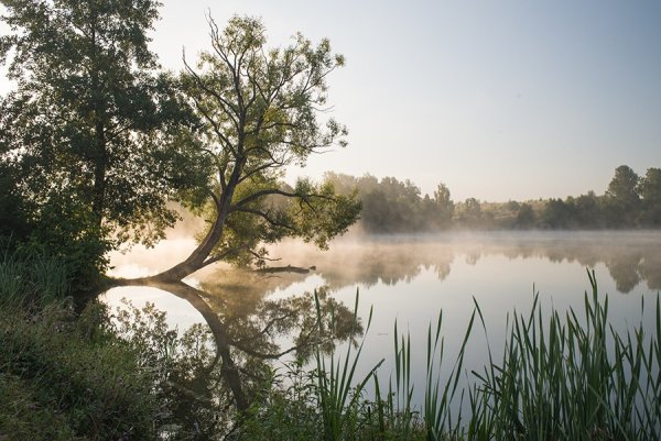 Чувашская Республика природа