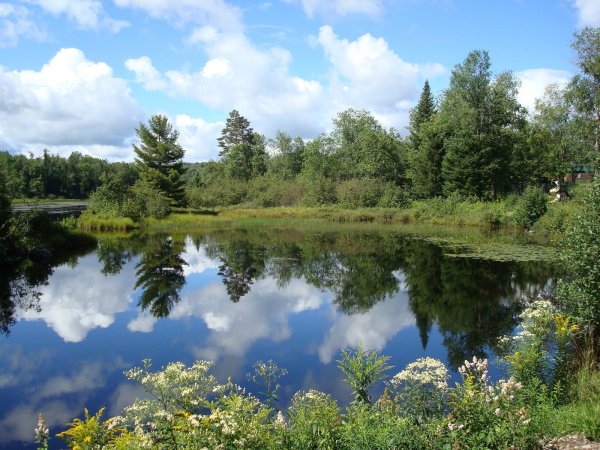 Природа Чувашии