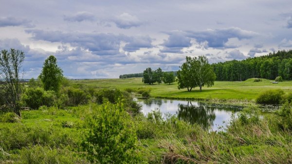 Поля Чувашии