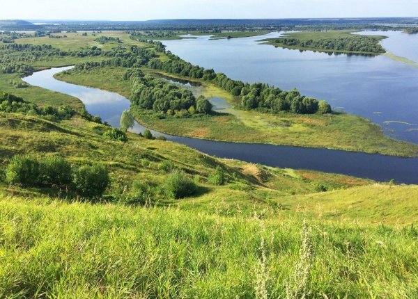 Птичий полет Козловка Чувашия