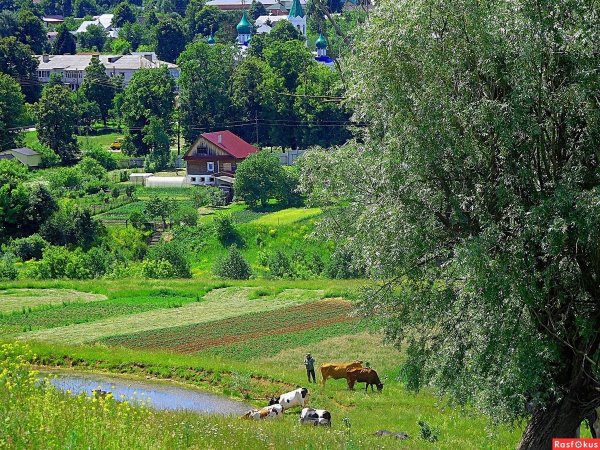 Чебоксары природа