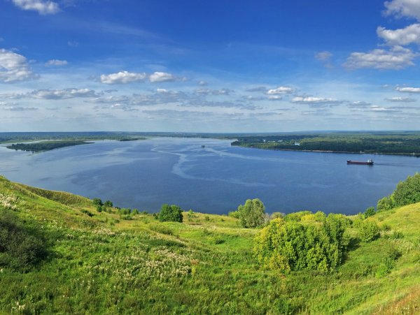 Птичий полет Козловка Чувашия