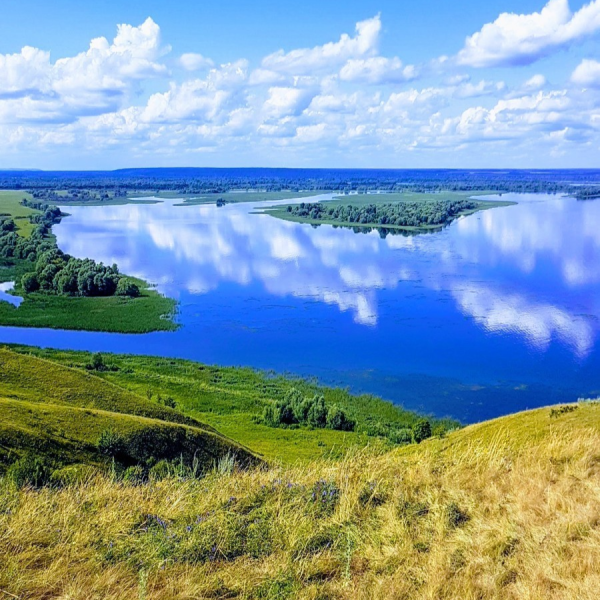 Птичий полет Чувашия Козловский район
