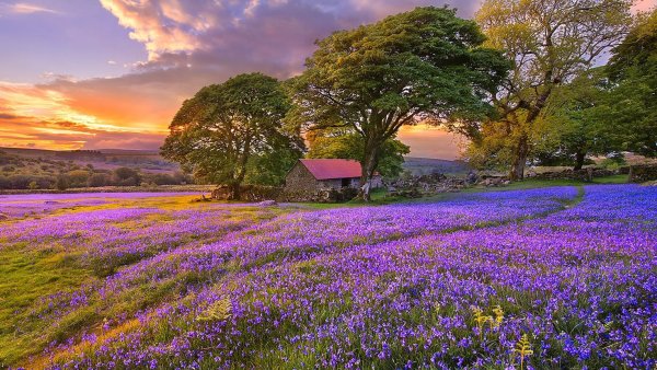 Пейзажи природы