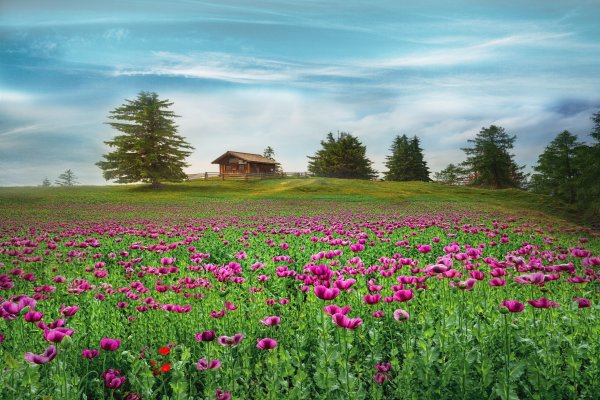 Телевизор сони xh55