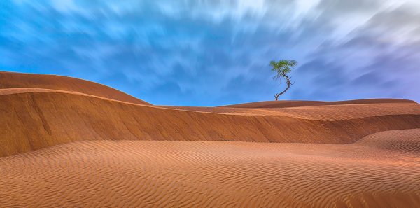 Рельеф Катара