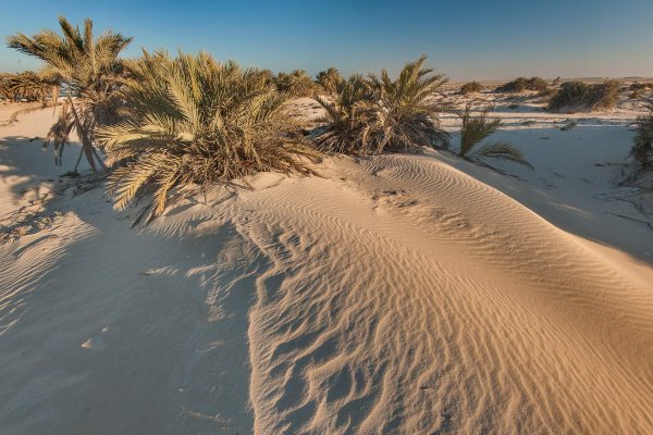 Пески Катара