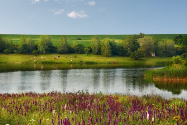 Пейзаж лесостепи Белгород