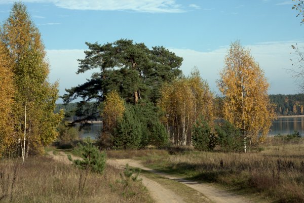 Пленочные фотографии природы