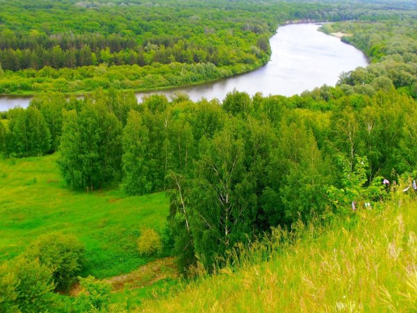 Заповедник Присурский Алатырь