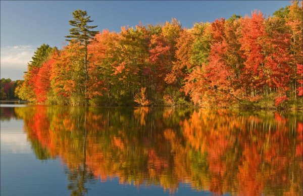 Октябрь природа