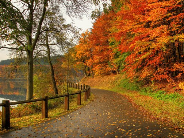 Осенняя природа