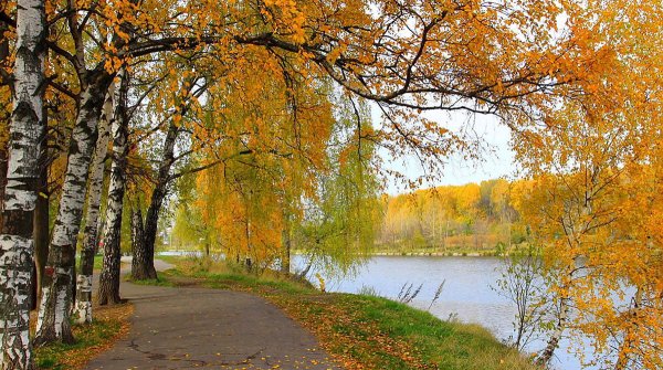 Телевизор DEXP f22b7200c 22"