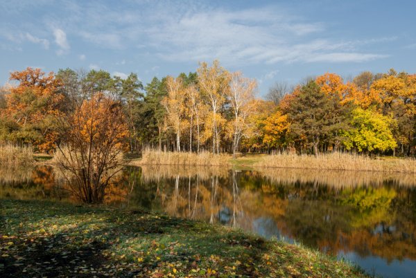 Осень октябрь природа