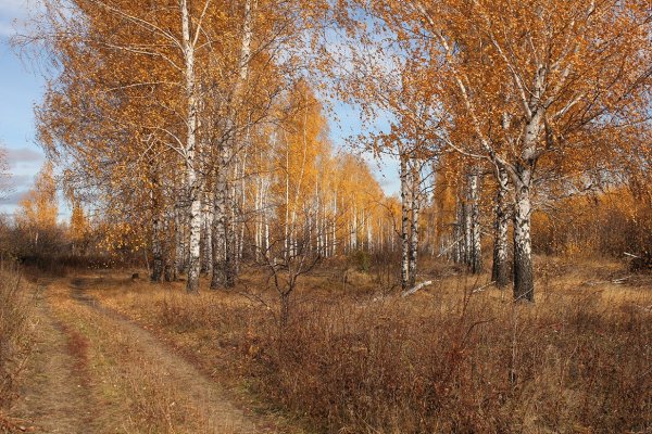 Осень в Нью Гэмпшире