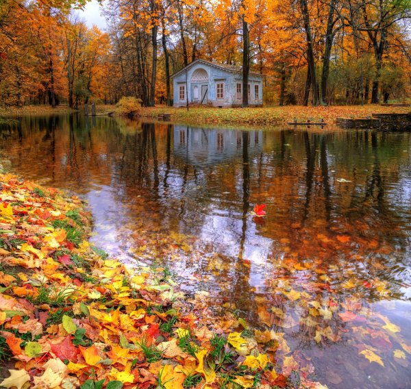 Октябрь природа