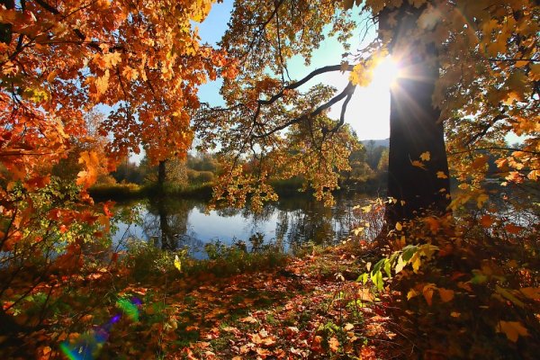 Осенний Пушкин Царское село