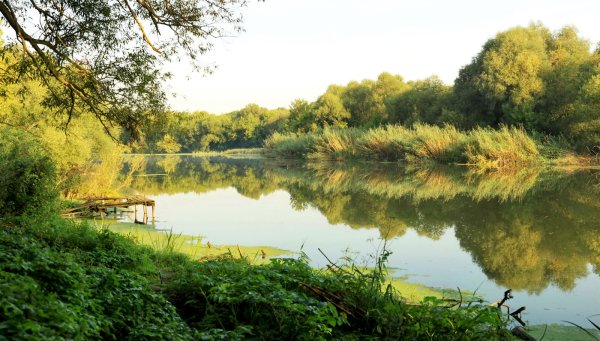 Река Нара Московская область